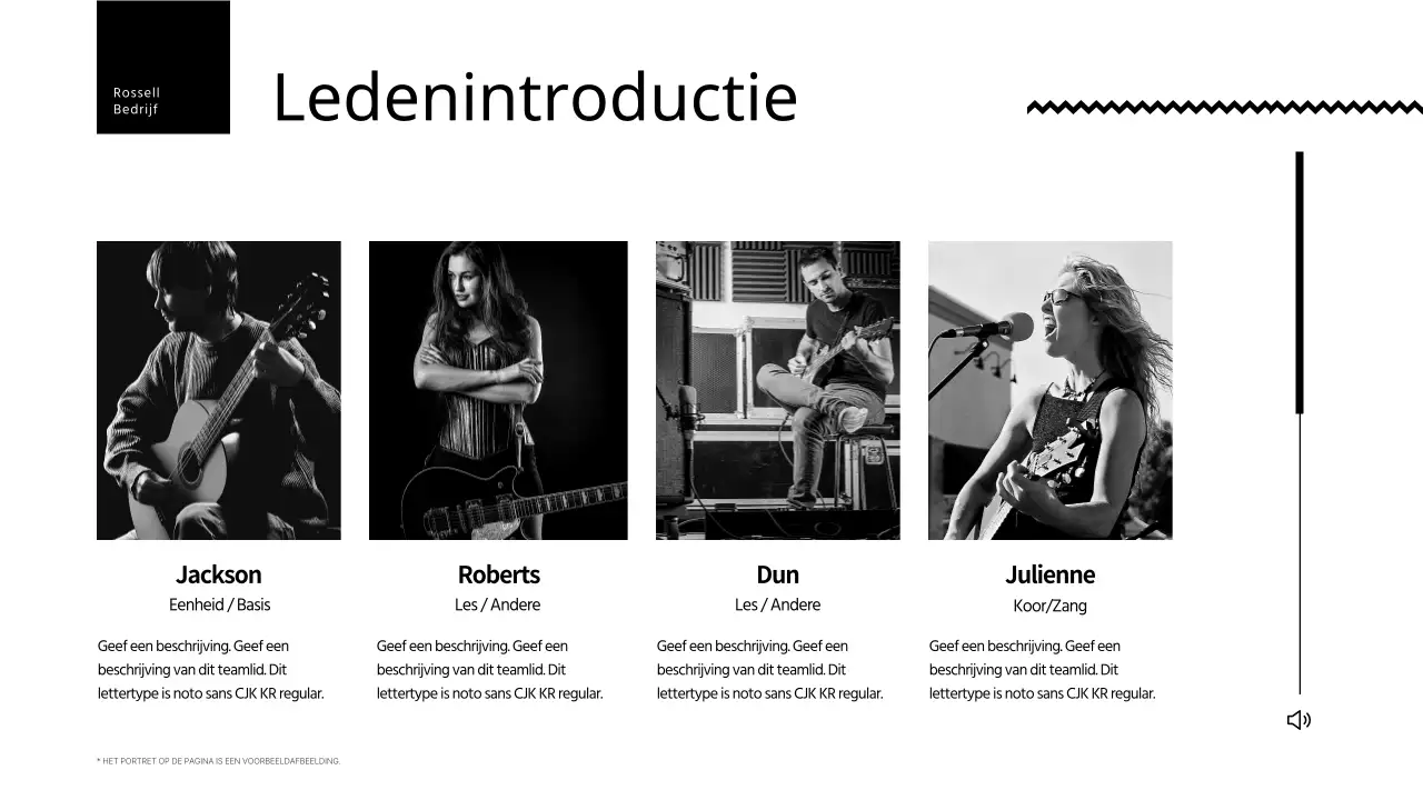 Een eenvoudige gitaristenportefeuille in zwart