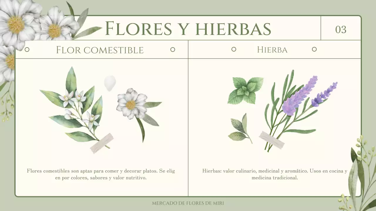 Trivialidades sobre flores y hierbas comestibles con un tema verde y sentimental de ilustración en acuarela