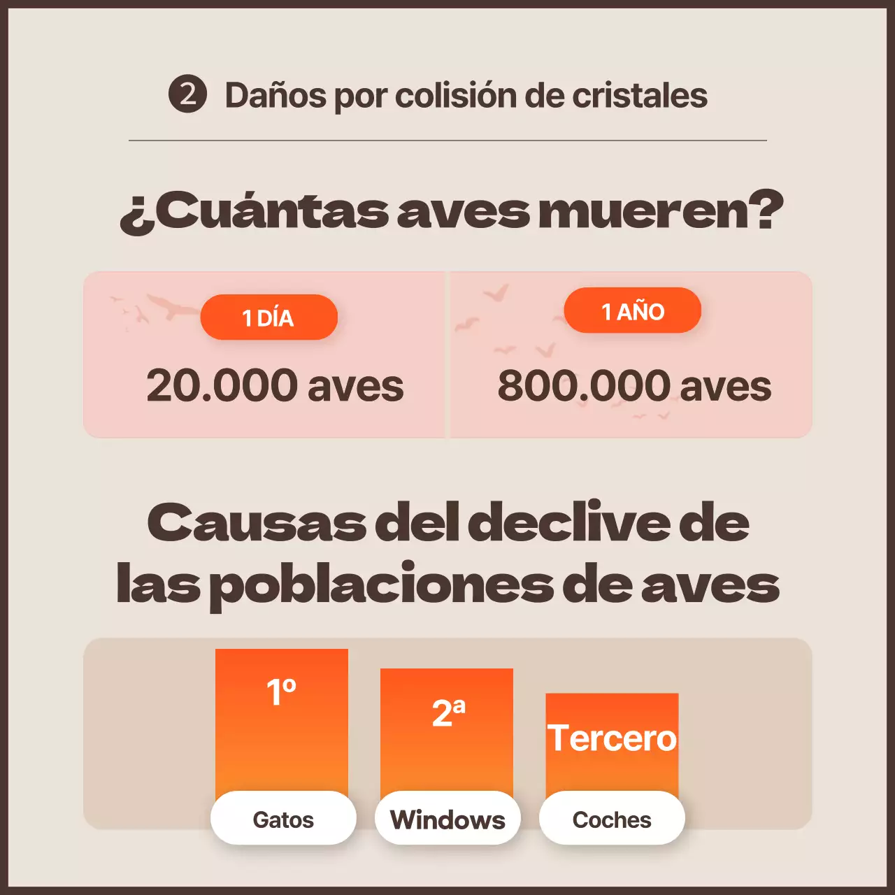 Una campaña limpia contra la colisión de aves con toques naranjas