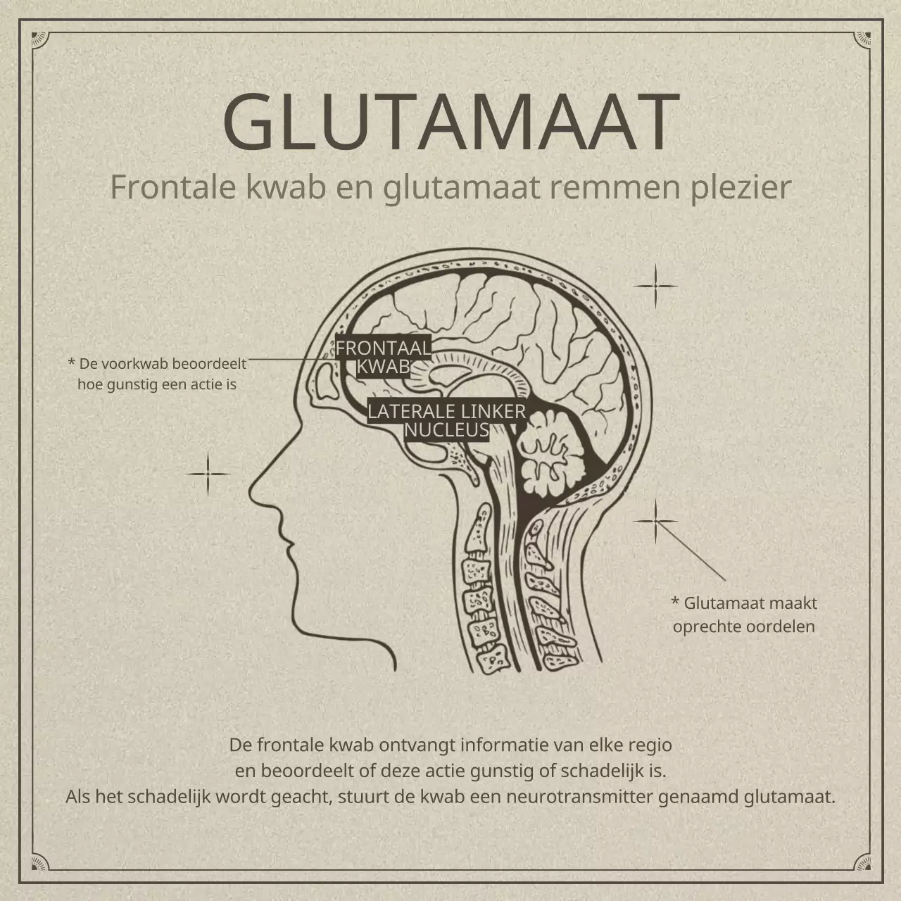 Neurowetenschap en luiheid in een beige, realistisch illustratieconcept