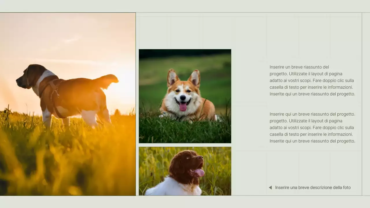 Il portfolio di un content marketer con un concetto di griglia verde e semplice