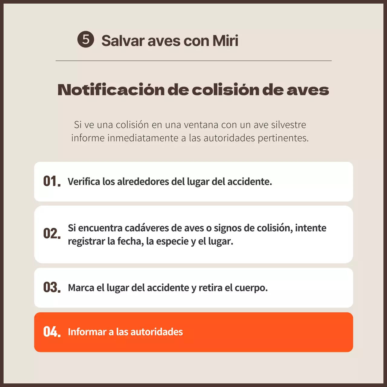 Una campaña limpia contra la colisión de aves con toques naranjas