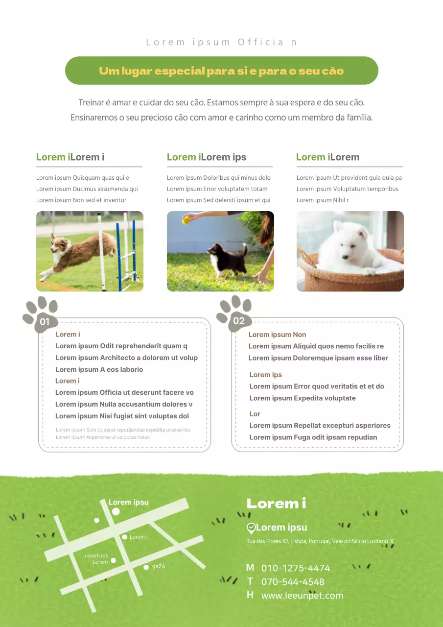 Promover um conceito verde, limpo e giro para uma escola para cães