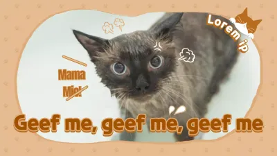 Youtube-kattenkanaal