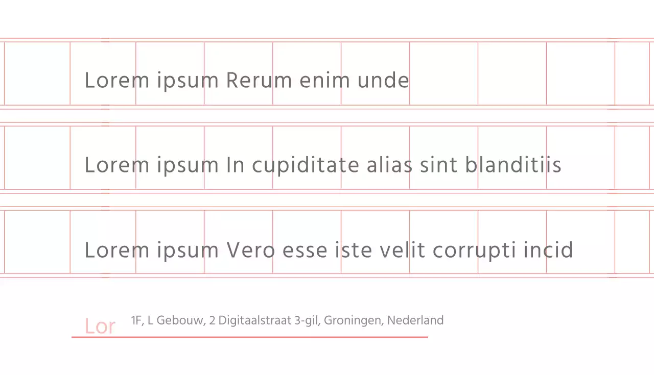 Essay Schrijven School