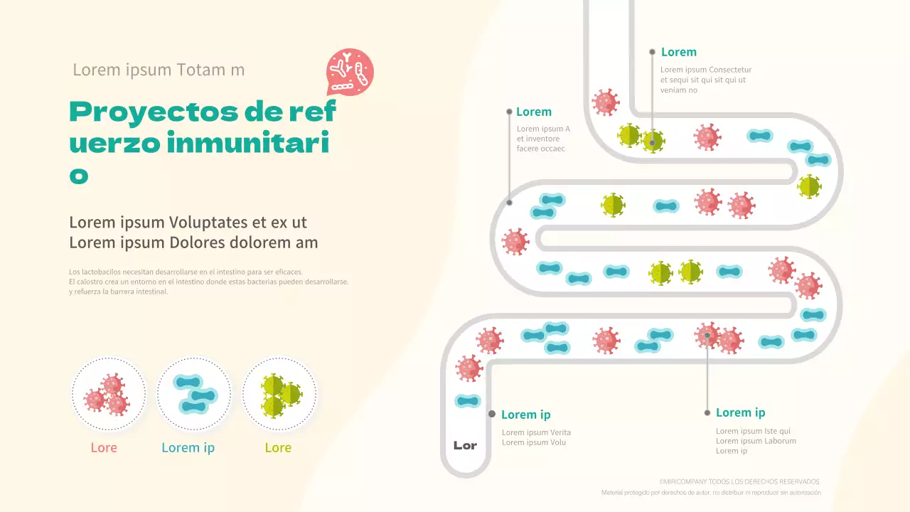 Hoja de ruta de los lactobacilos para la inmunidad
