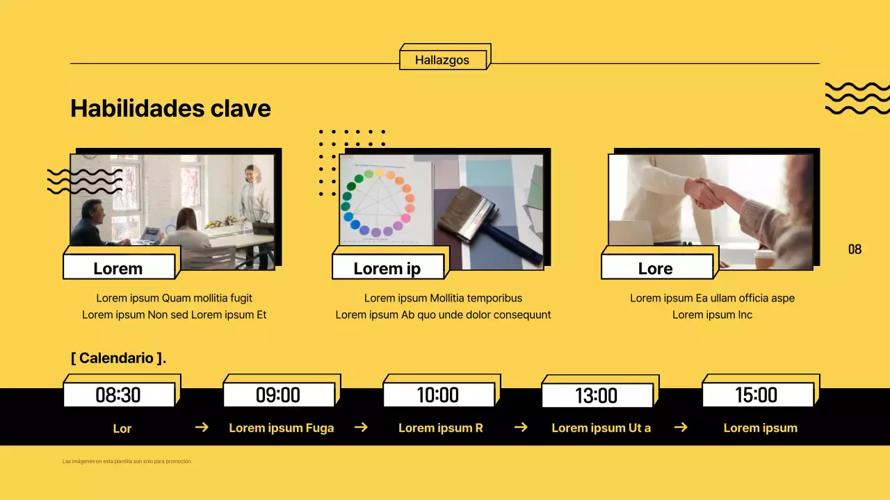 Informes de exploración profesional con bordes y colores