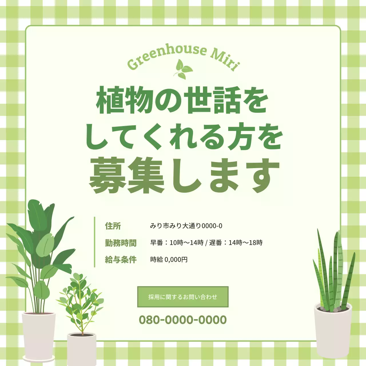 緑 シンプル 広告 お知らせ SNS投稿 正方形