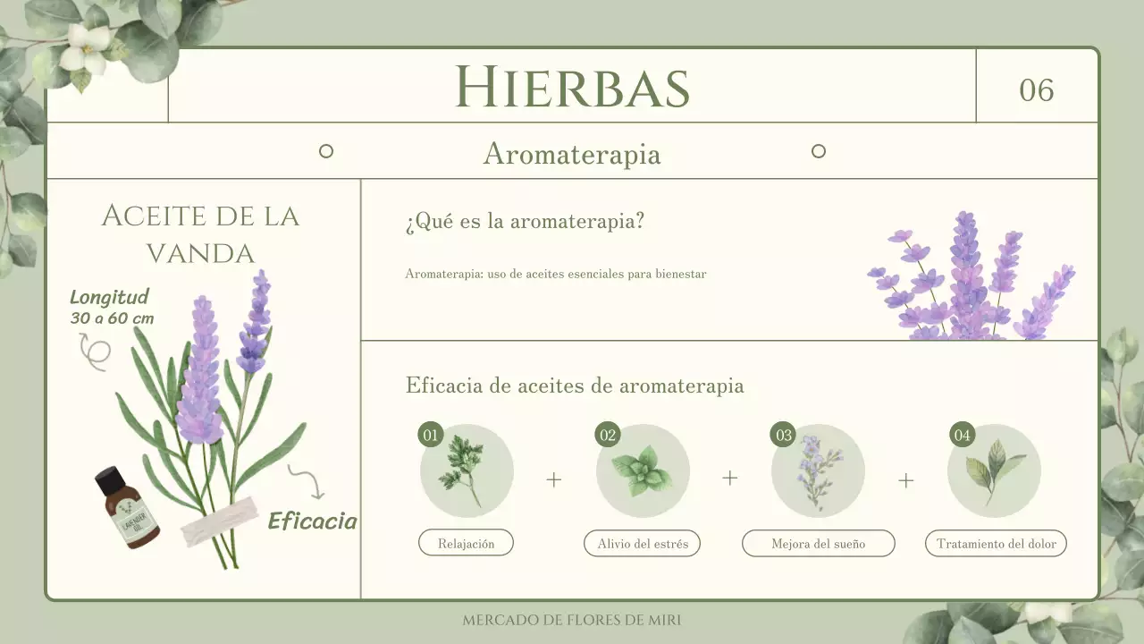 Trivialidades sobre flores y hierbas comestibles con un tema verde y sentimental de ilustración en acuarela