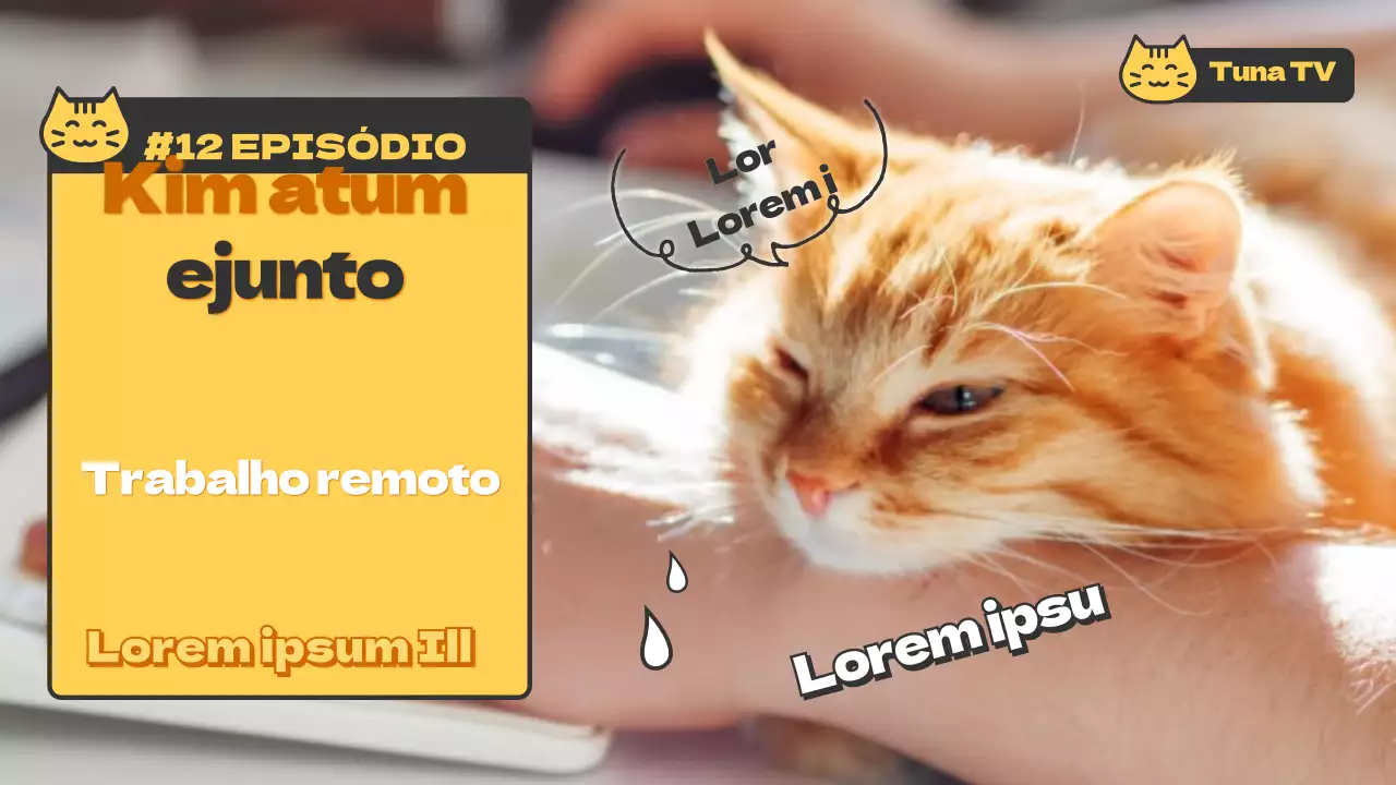 PetTube_Gatinho
