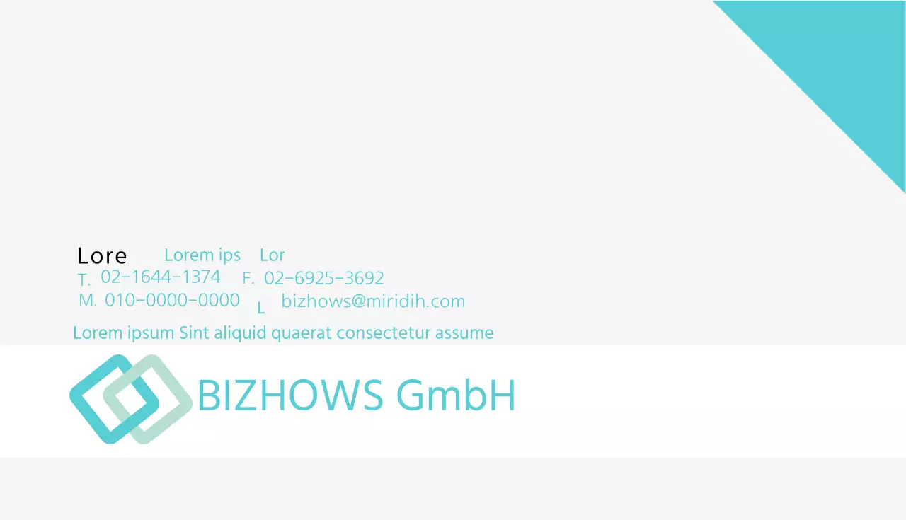 BiziNC