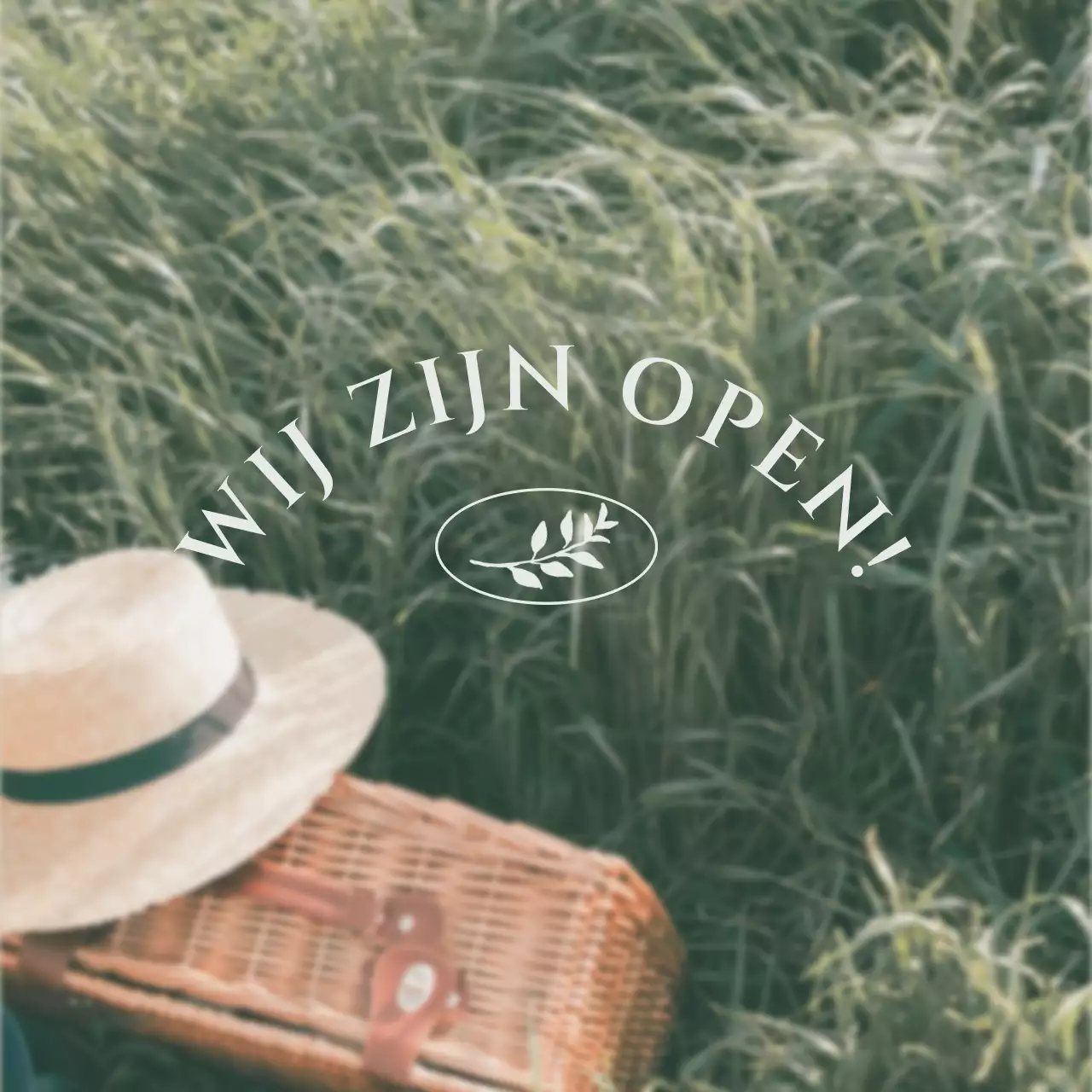 Green's Picknick Concept Fotolay-out Bundel Pakket