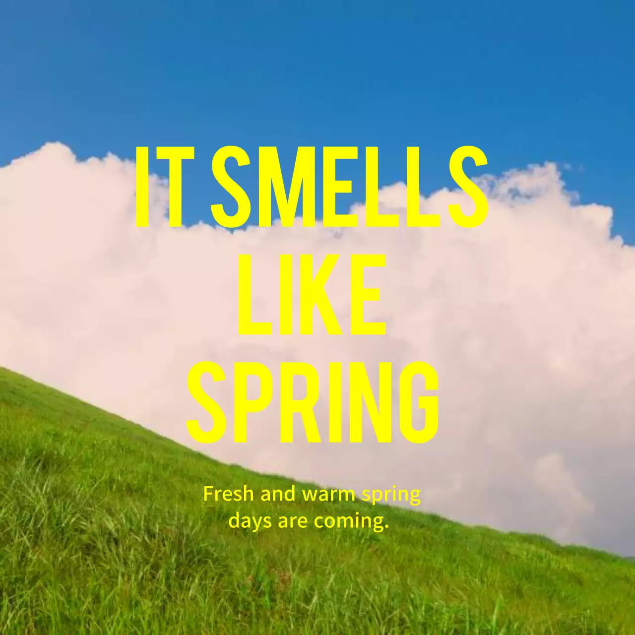 春の花写真のタイポグラフィ