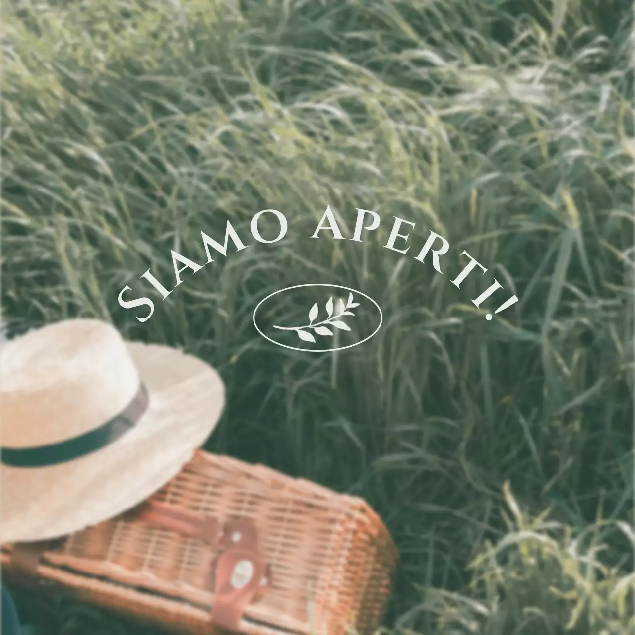 Pacchetto bundle layout fotografico Green's Picnic Concept