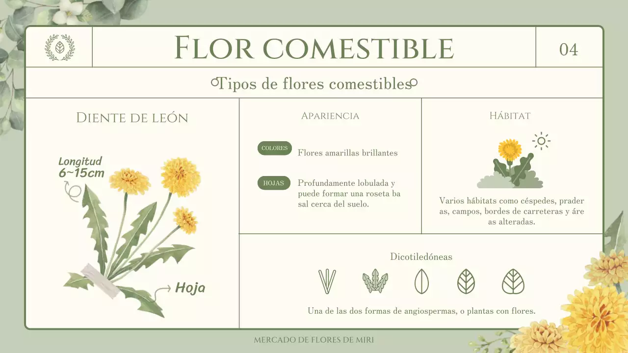 Trivialidades sobre flores y hierbas comestibles con un tema verde y sentimental de ilustración en acuarela