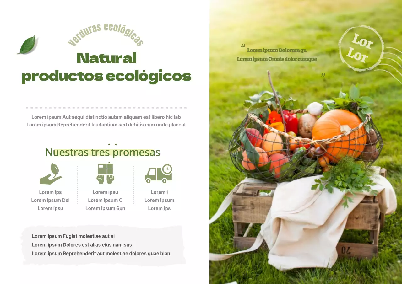 Productos ecológicos