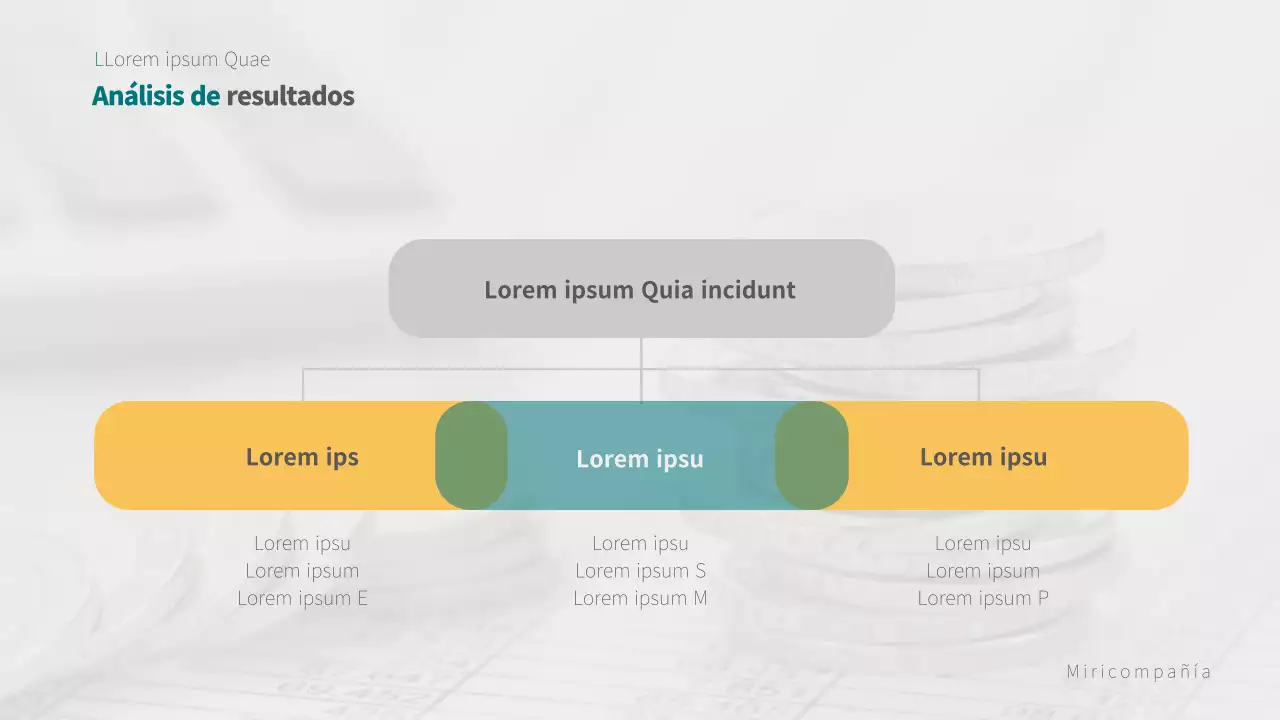 Perfil de la empresa