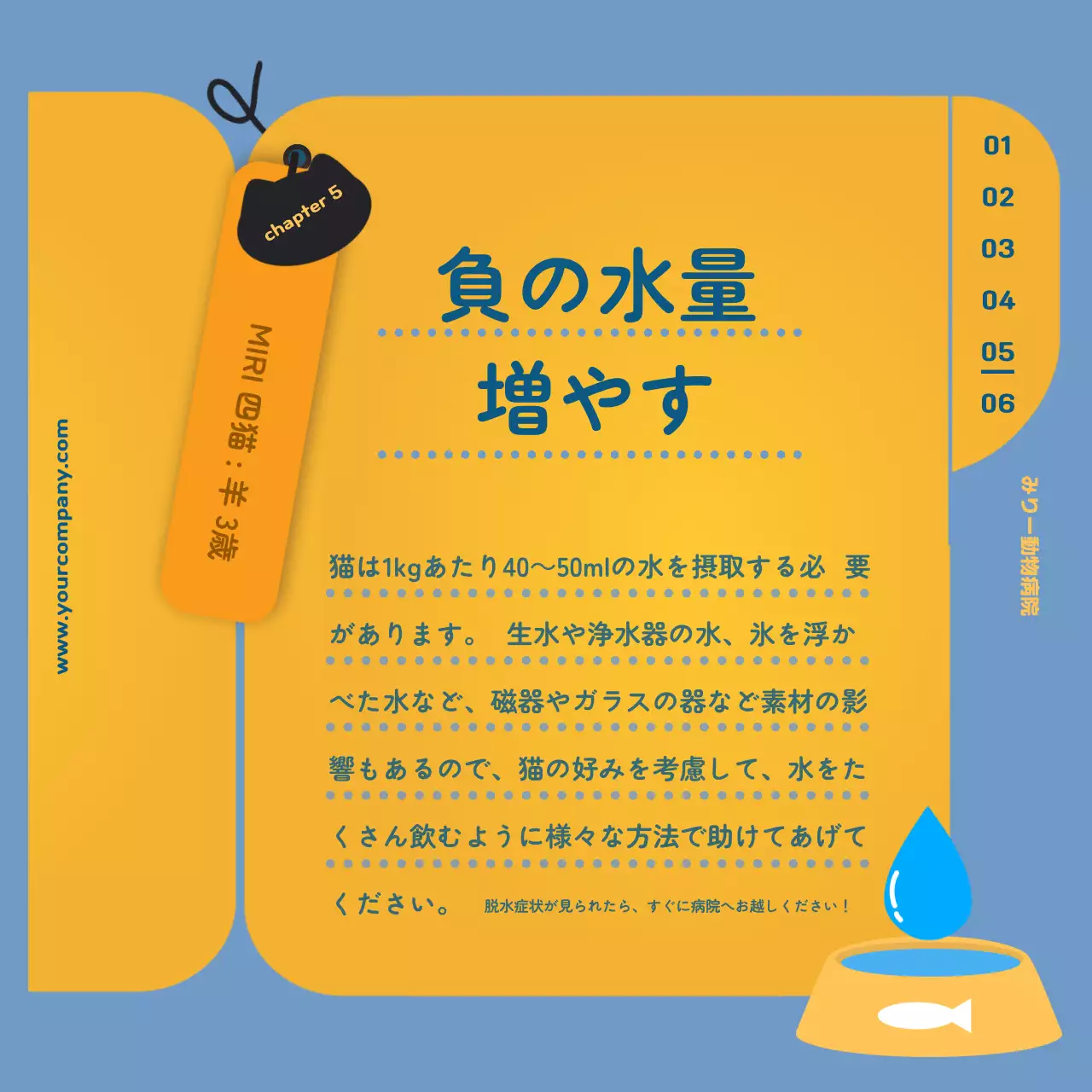 青 かわいい ペット マニュアル Instagram カルーセル