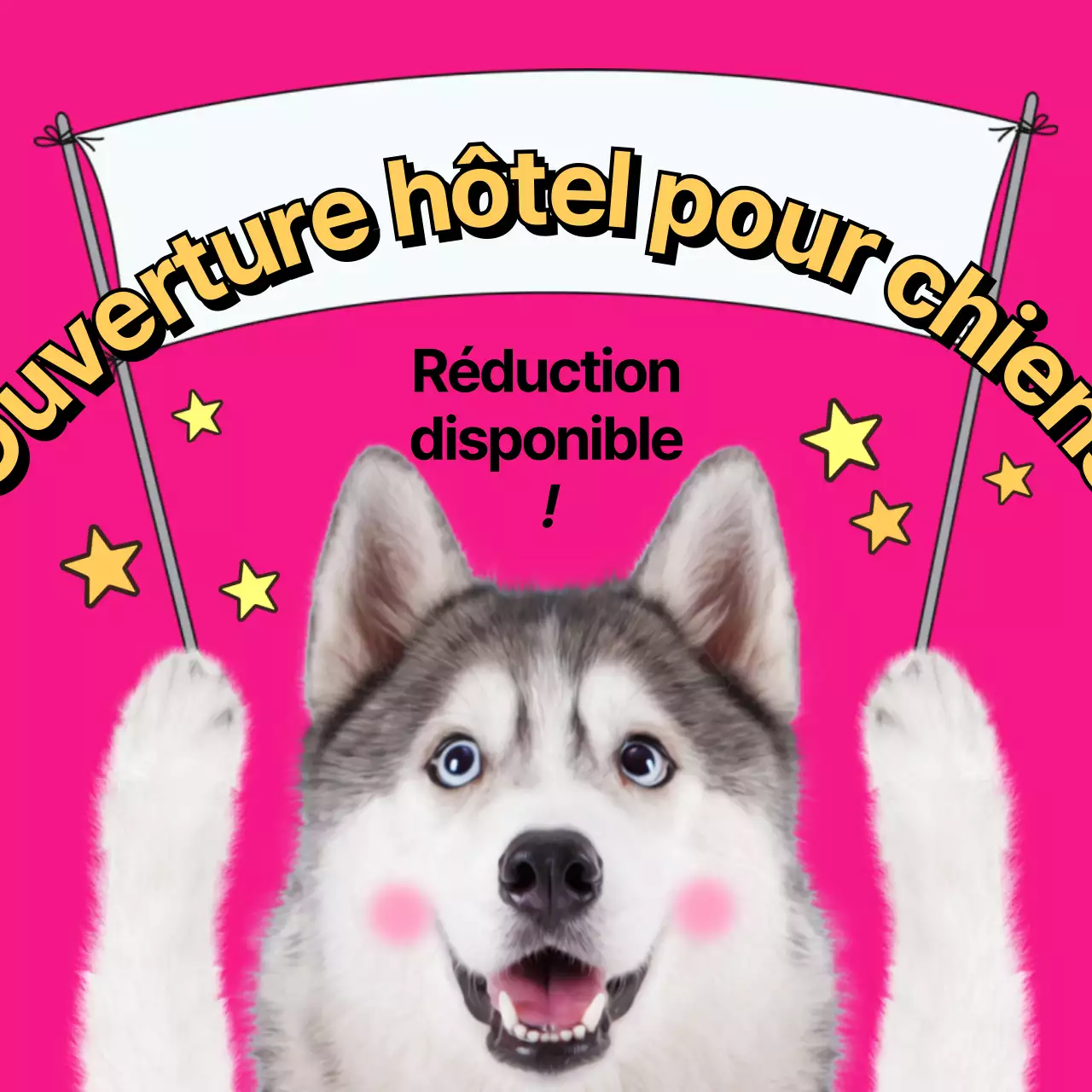 Hôtels pour chiens