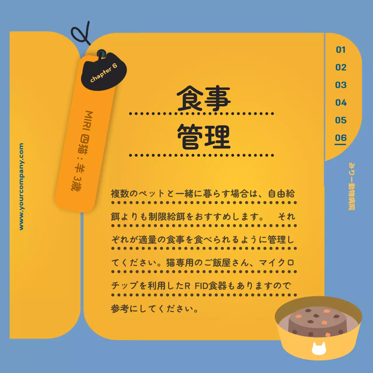 青 かわいい ペット マニュアル Instagram カルーセル