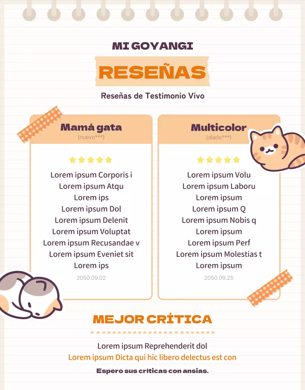 Presentamos la bonita caja aleatoria de papelería naranja y beige Cat Daku