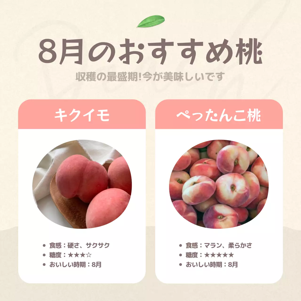 ピンク かわいい フルーツ パンフレット Instagram カルーセル