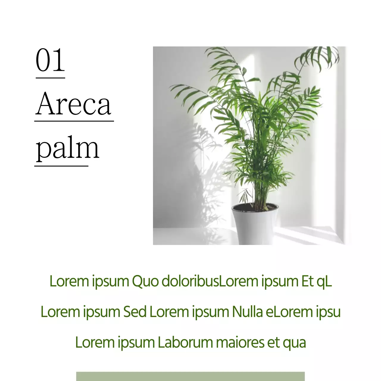 Huisdieren die fijnstof vangen