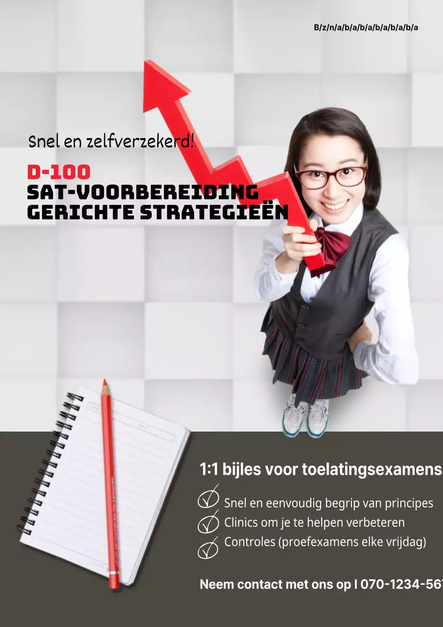 Een eenvoudige grijze en rode flyer voor een speciale klas voor examenvoorbereiding op een privéschool