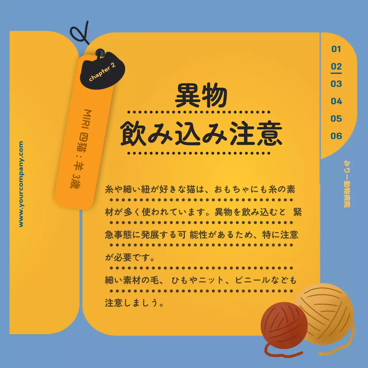 青 かわいい ペット マニュアル Instagram カルーセル