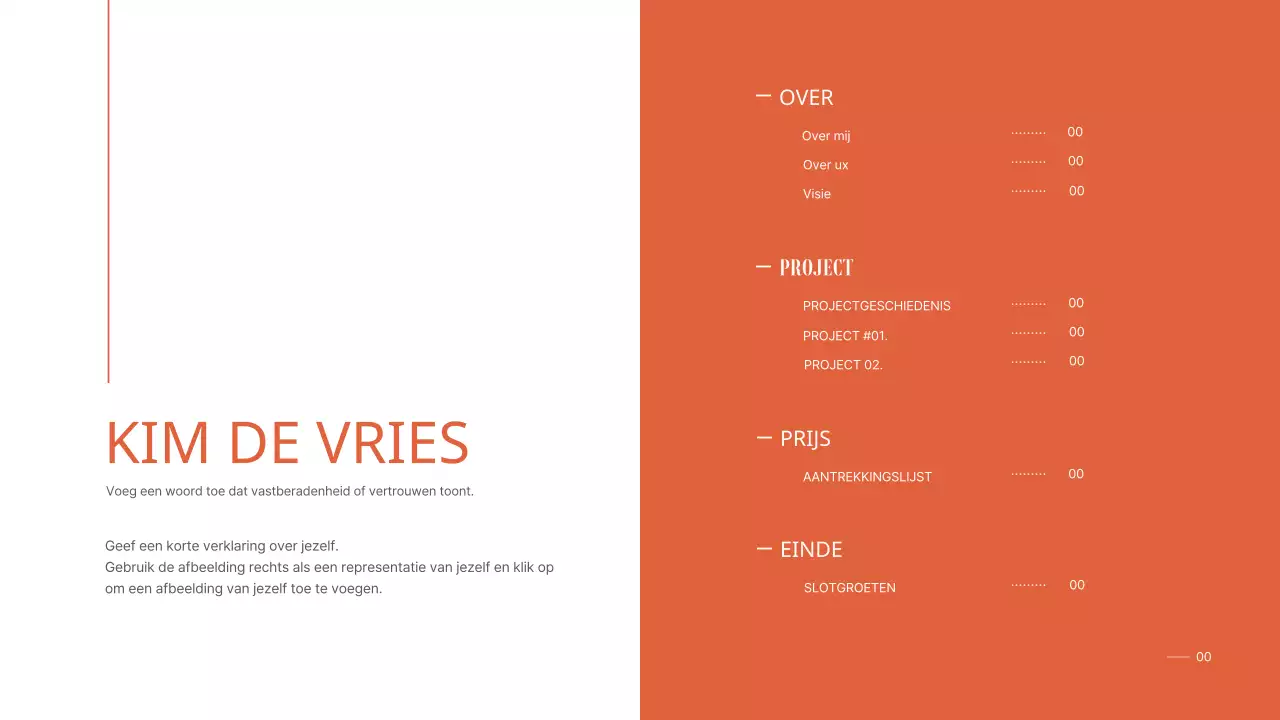 Een eenvoudige, georganiseerde portfolio voor een universiteitsstudent in oranje