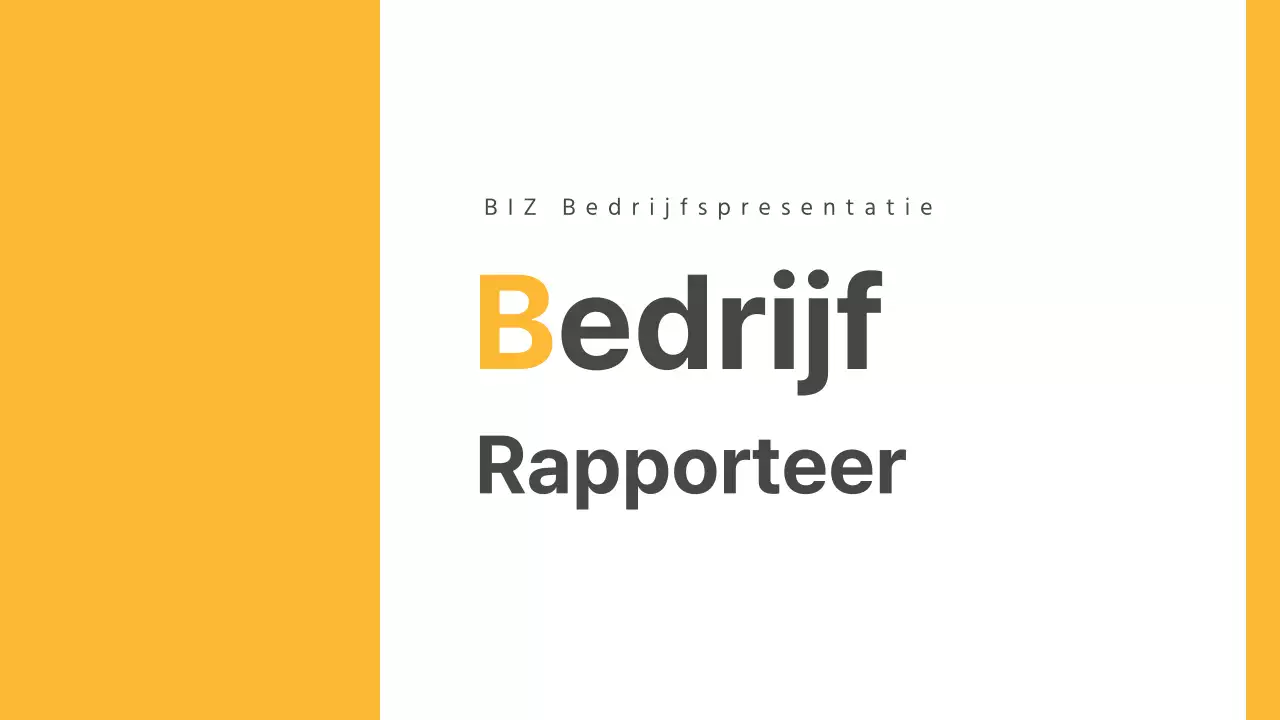 Bedrijfsstatusrapport
