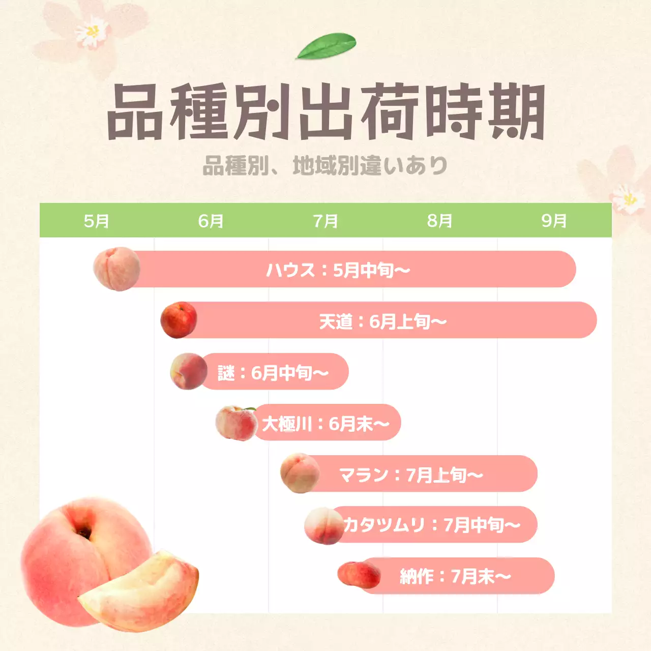 ピンク かわいい フルーツ パンフレット Instagram カルーセル