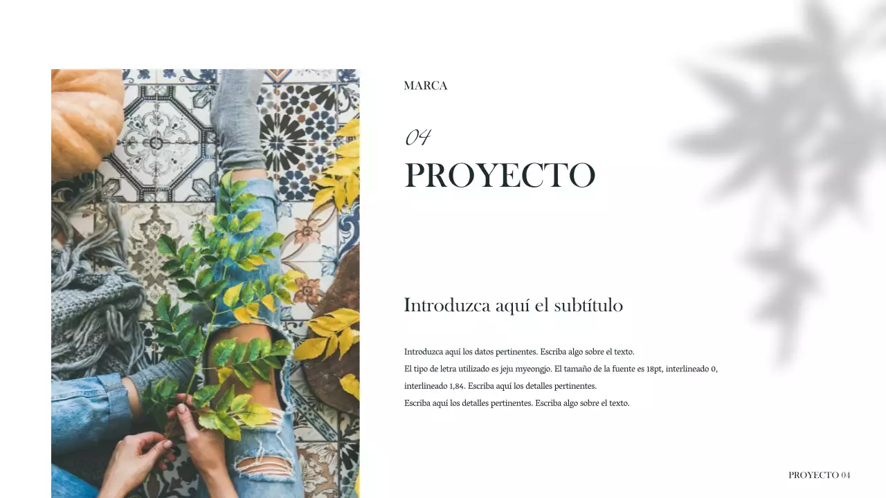 Presentaciones de marca