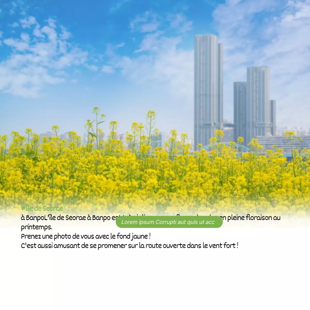 Cours sur les rencontres