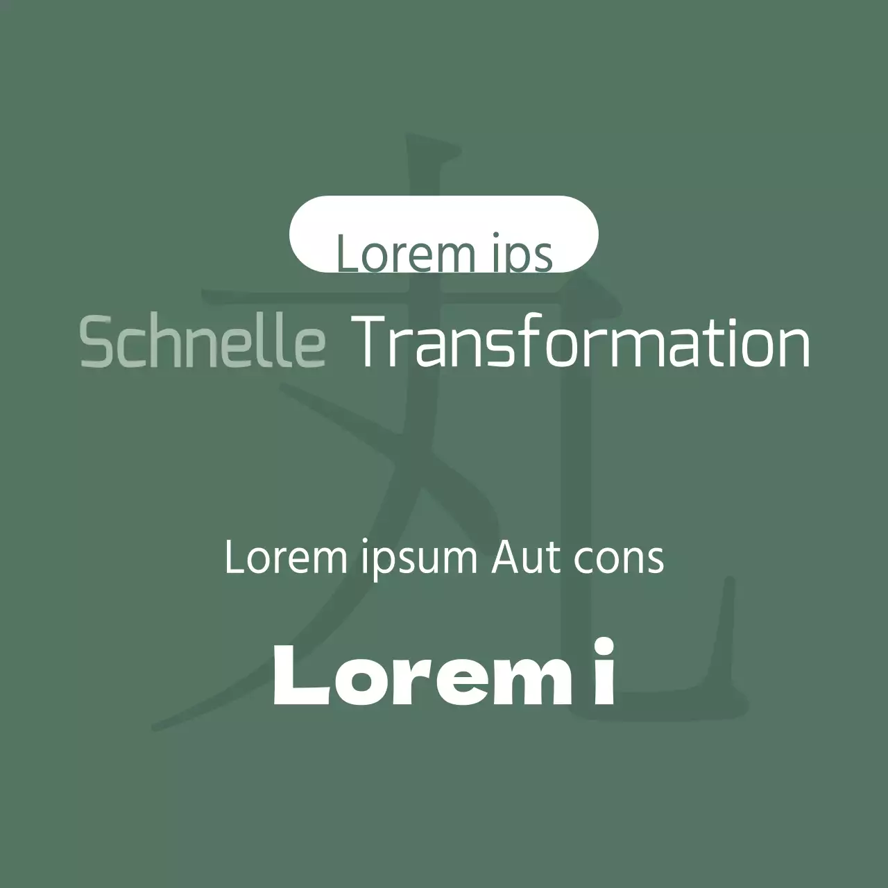 Schnelle Transformation