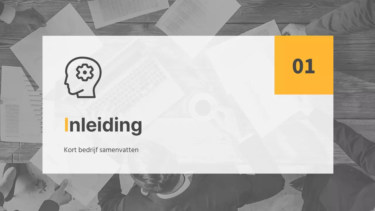 Bedrijfsstatusrapport