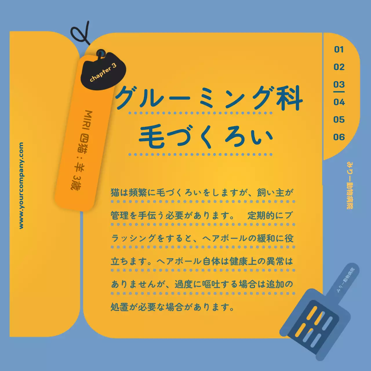 青 かわいい ペット マニュアル Instagram カルーセル