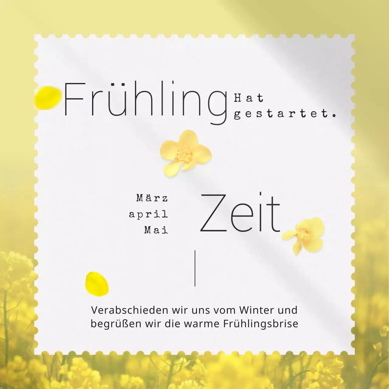 Zarte, gefühlvolle und frische Frühlings- und Blumenpostkarten in Pastell- und Gelbtönen für das chinesische Neujahrsfest.