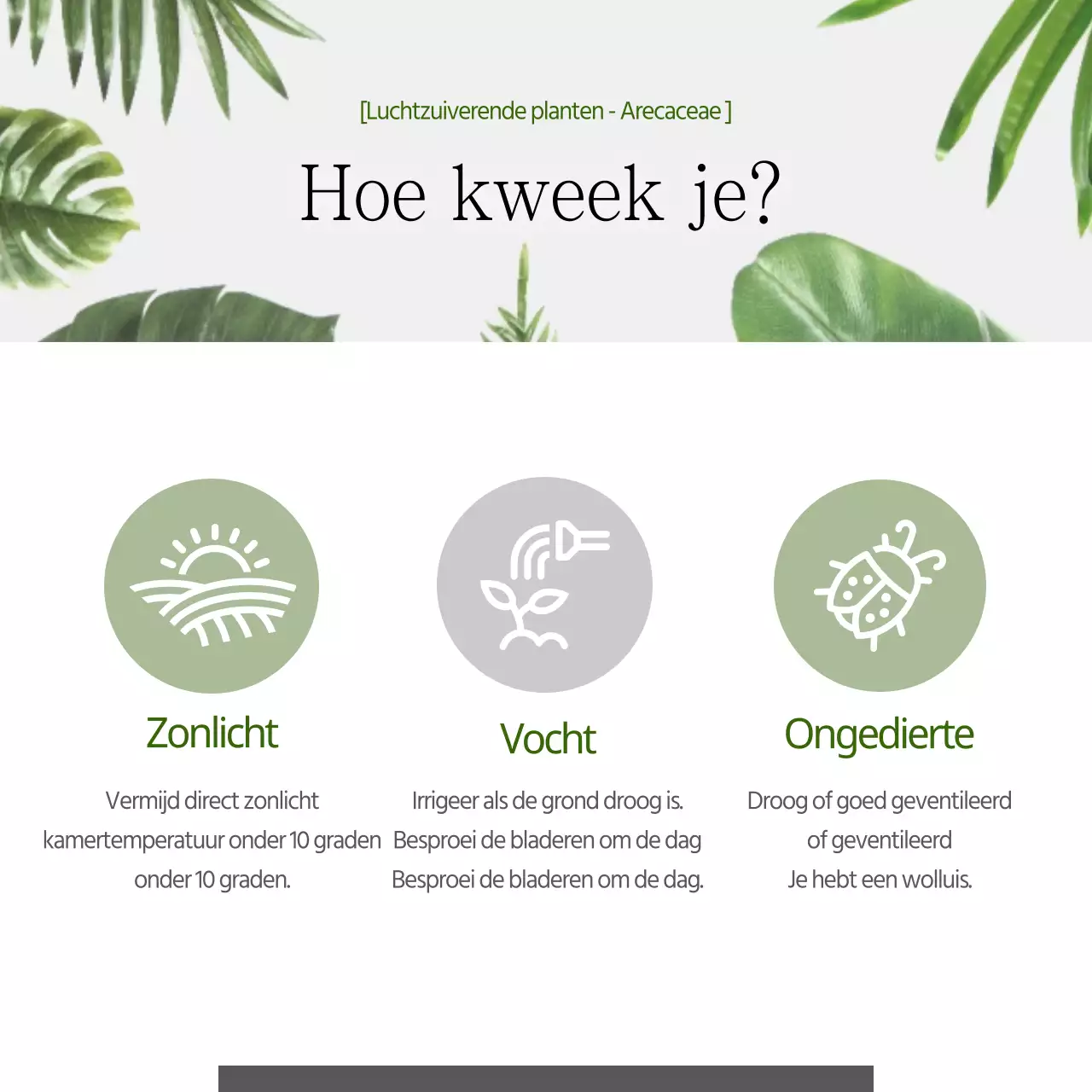 Huisdieren die fijnstof vangen