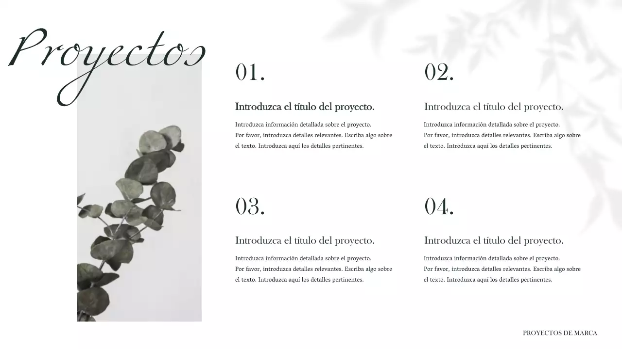 Presentaciones de marca