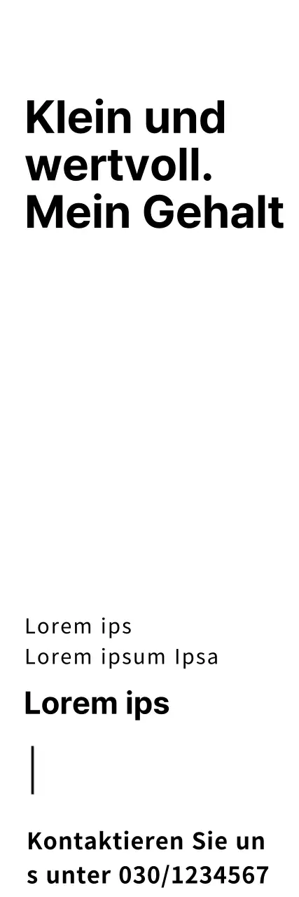 Buchhalter_Steuerbanner