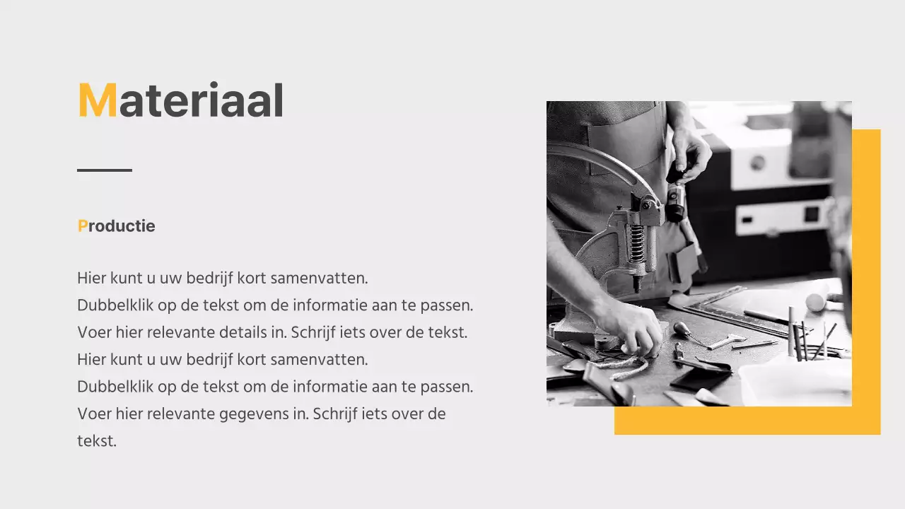 Bedrijfsstatusrapport