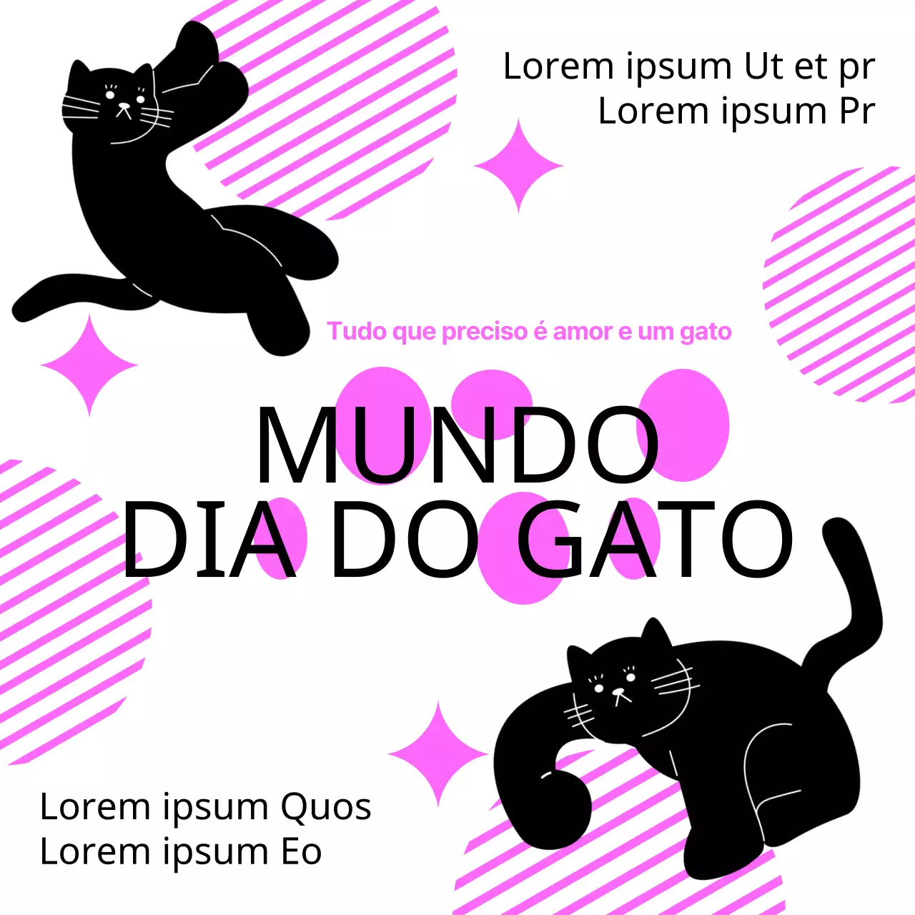 Conteúdo preto, simples e ilustrado do Dia do Gato