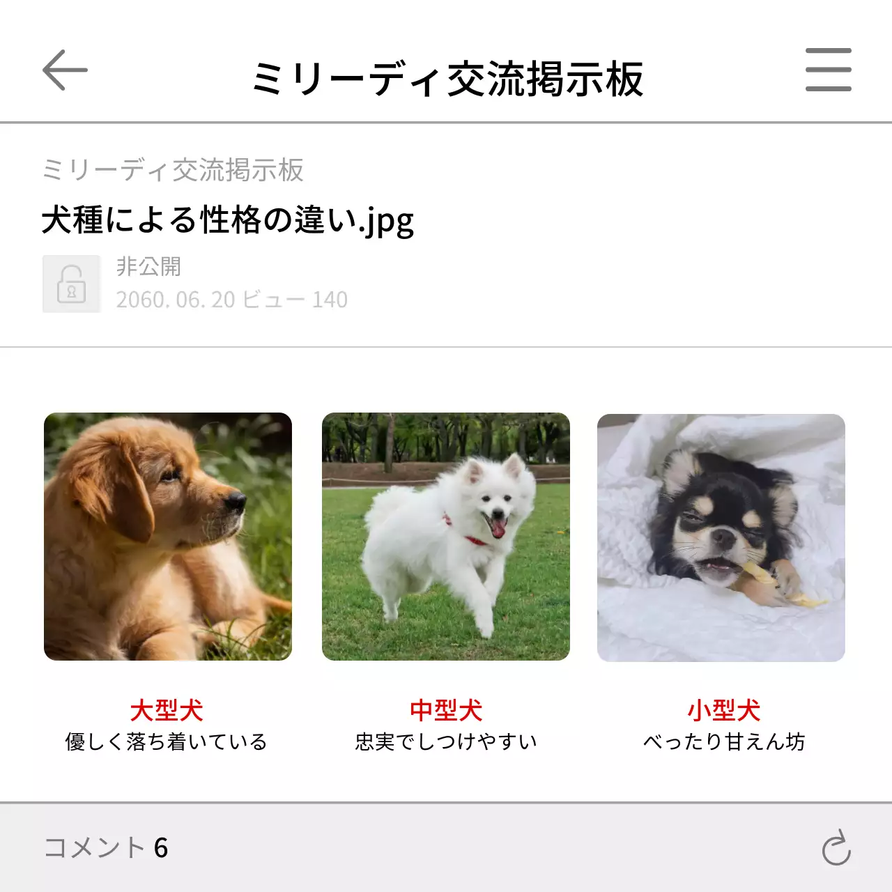 白黒 シンプル ペット 企画書 SNS投稿 正方形