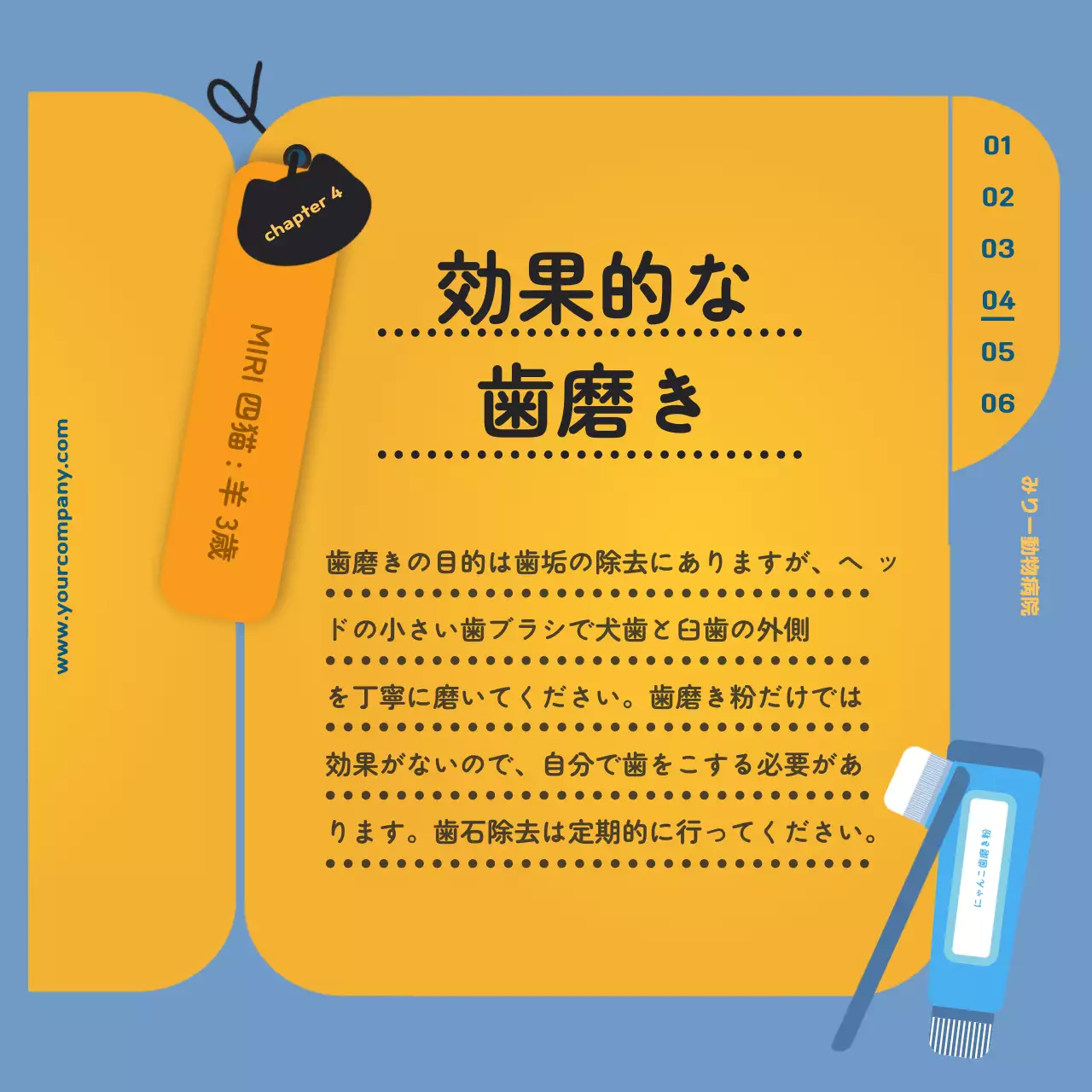 青 かわいい ペット マニュアル Instagram カルーセル