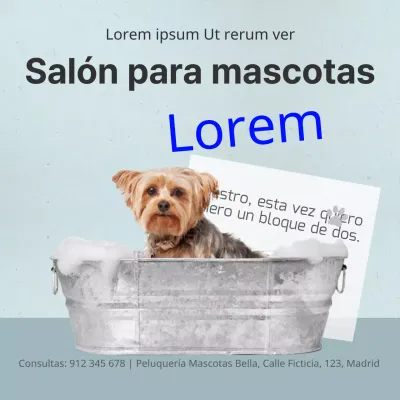 Salón para mascotas