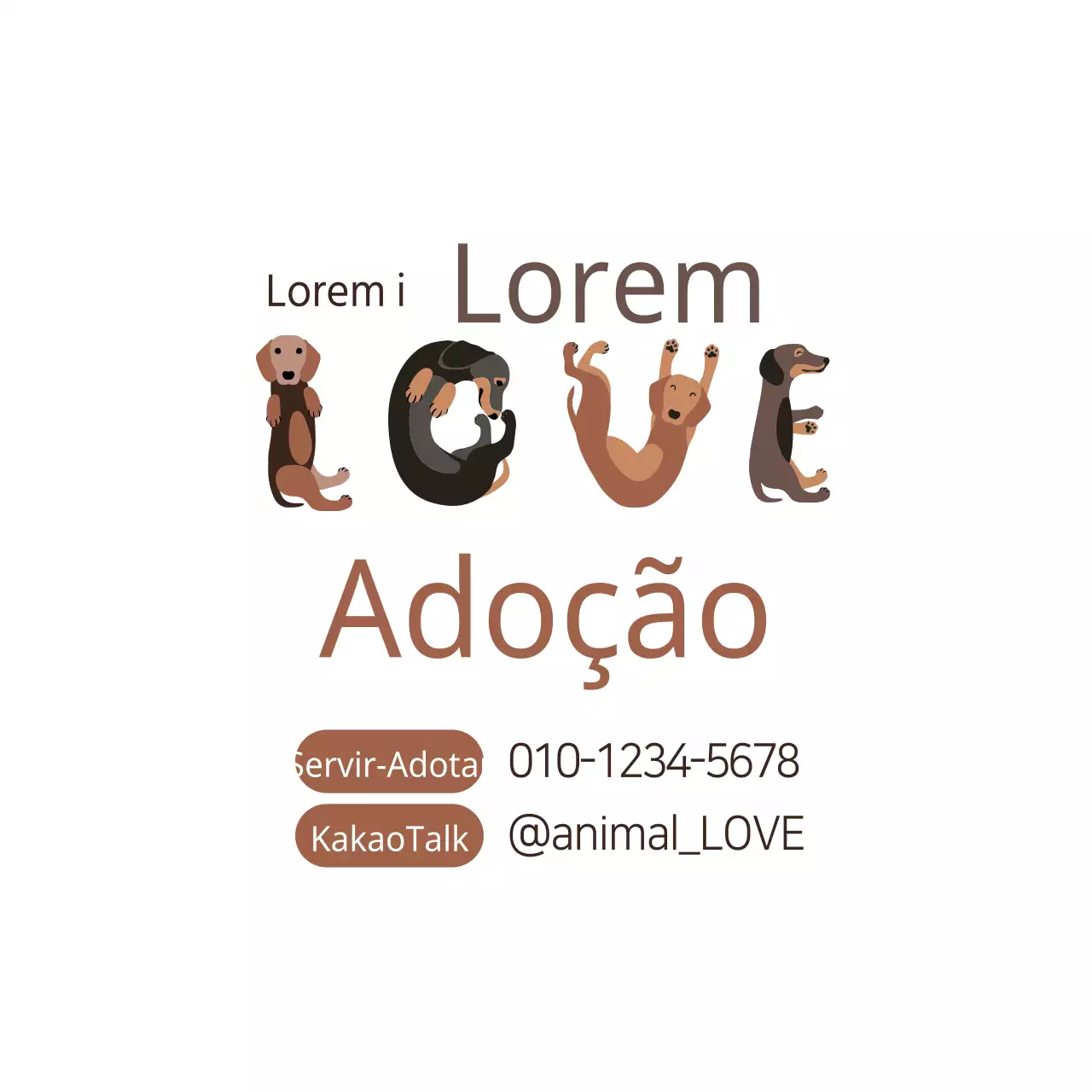 Adotar um cão vadio