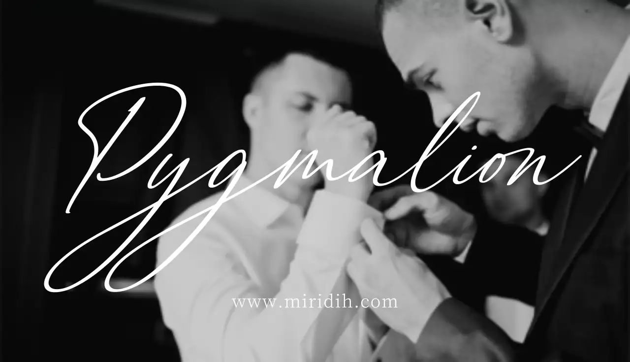 黒 モダン ビジネス 名刺