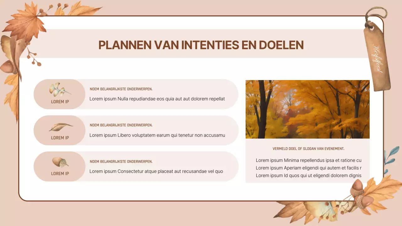 Jouw gids voor oranje, natuurlijke herfstevenementen