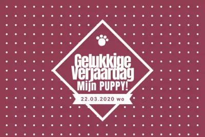 Gelukkige Verjaardag